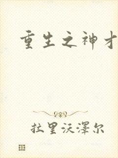 重生之神才风流