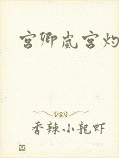 宫卿岚宫灼小说
