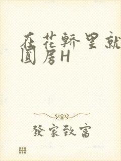 在花轿里就开始圆房H