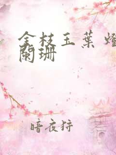 金枝玉叶 灯火阑珊