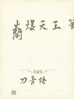 火爆天王 笔趣阁