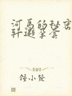 河马的秘密河文轩避孕套