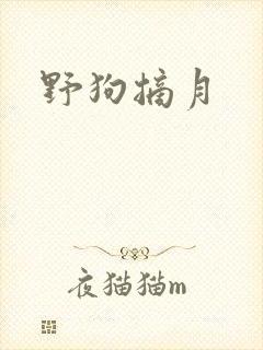 野狗摘月