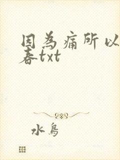 因为痛所以叫青春txt