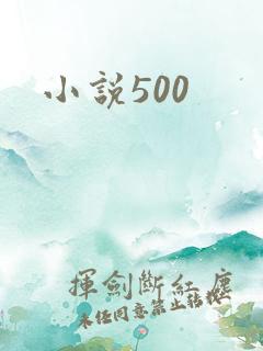 小说500