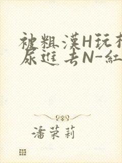 被粗汉H玩松了尿进去N-红-Q