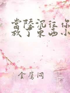 当陆沉往你里面放了东西小玩具