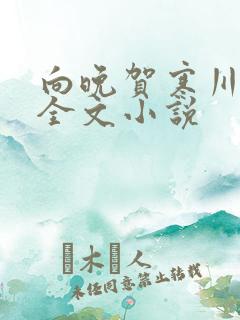 向晚贺寒川免费全文小说