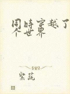 同时穿越了99个世界