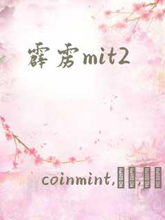 霹雳mit2