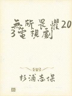 无所畏惧2023电视剧