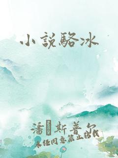 小说骆冰