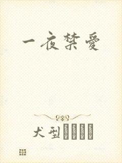一夜禁爱
