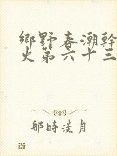 乡野春潮干柴烈火第六十三章