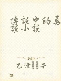 传说中的勇者传说小说