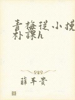 青梅从小摸到大补课h