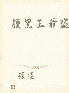 腹黑王爷盗墓妃