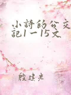 小诗的公交车日记1一15文