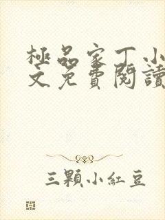 极品家丁小说全文免费阅读