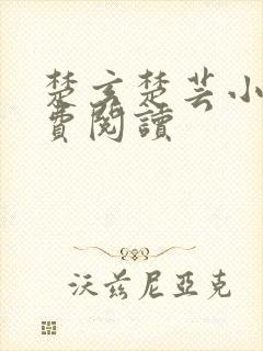 楚玄楚芸小说免费阅读