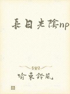 长日光阴np