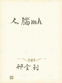 人脑mh