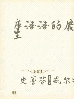 库洛洛的废柴人生