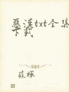 恶汉txt全集下载