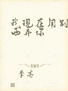 我现在用别的东西弄你