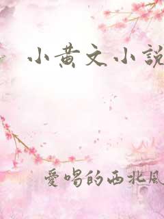 小黄文小说