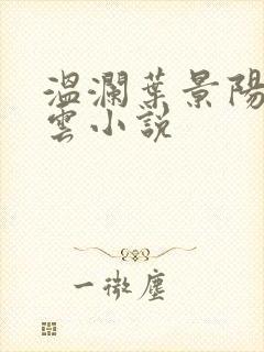 温澜叶景阳温云云小说