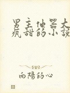 男主他器大活好疯甜的小说