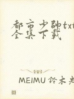 都市少帅txt全集下载