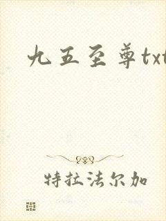 九五至尊txt
