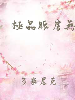 极品账房无弹窗