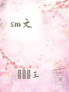 sm文