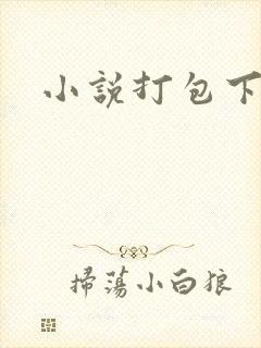 小说打包下载