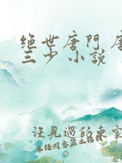 绝世唐门 唐家三少 小说