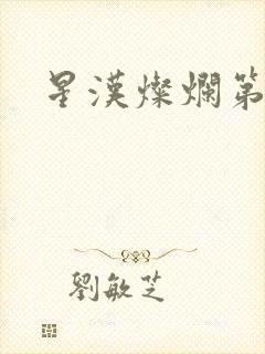 星汉灿烂第二部