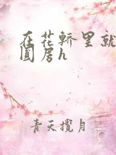 在花轿里就开始圆房h