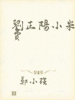 刘正阳小米多免费