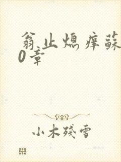 翁止熄痒苏钥10章