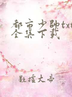 都市少帅txt全集下载