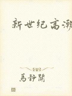 新世纪高潮战队