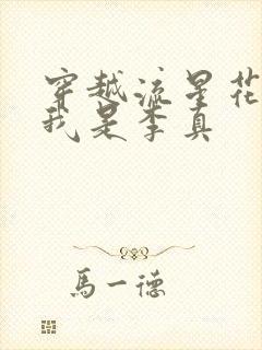 穿越流星花园之我是李真