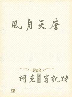 风月天唐