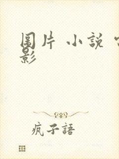 图片 小说 电影