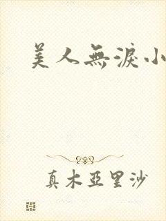 美人无泪小说
