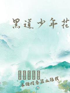 黑道少年花丛游