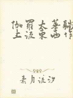 伽罗太华躺在床上流东西作业